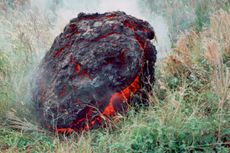 An accretionary lava ball came to rest on the grass after rolling off the top of a flow from Kilauea Volcano during an earlier eruption on July 23, 1983.