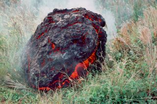 An accretionary lava ball came to rest on the grass after rolling off the top of a flow from Kilauea Volcano during an earlier eruption on July 23, 1983.