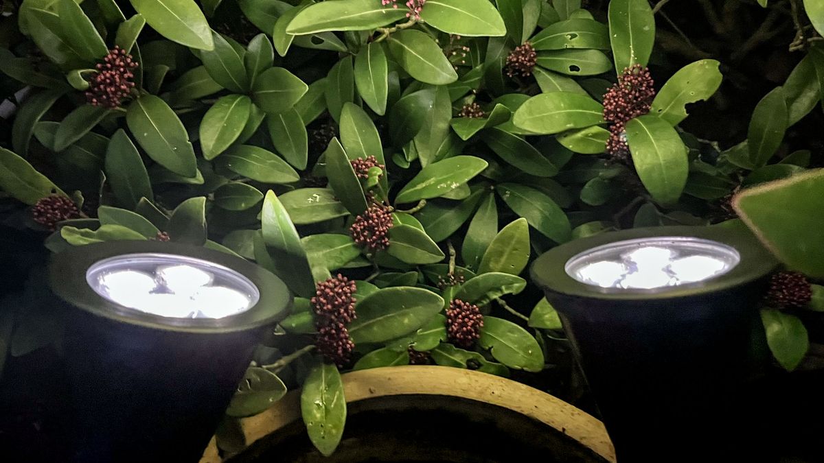 T-SUN LED Solar Spotlights