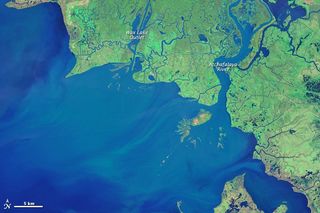 Landsat satellite imagery acquired on Nov. 7, 1984, shows emerging specks of land at the mouth of Wax Lake Outlet (left) and the Atchafalaya River (right) in Louisiana.