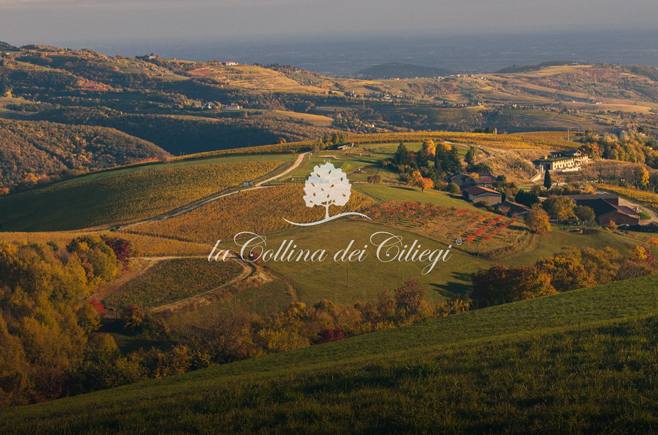 Broad view of hills and vines, with 'Collina dei Ciliegi' written over the top in white