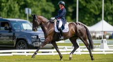 Bramham Horse Trials dressage: Tom McEwen and MHS Brown Jack