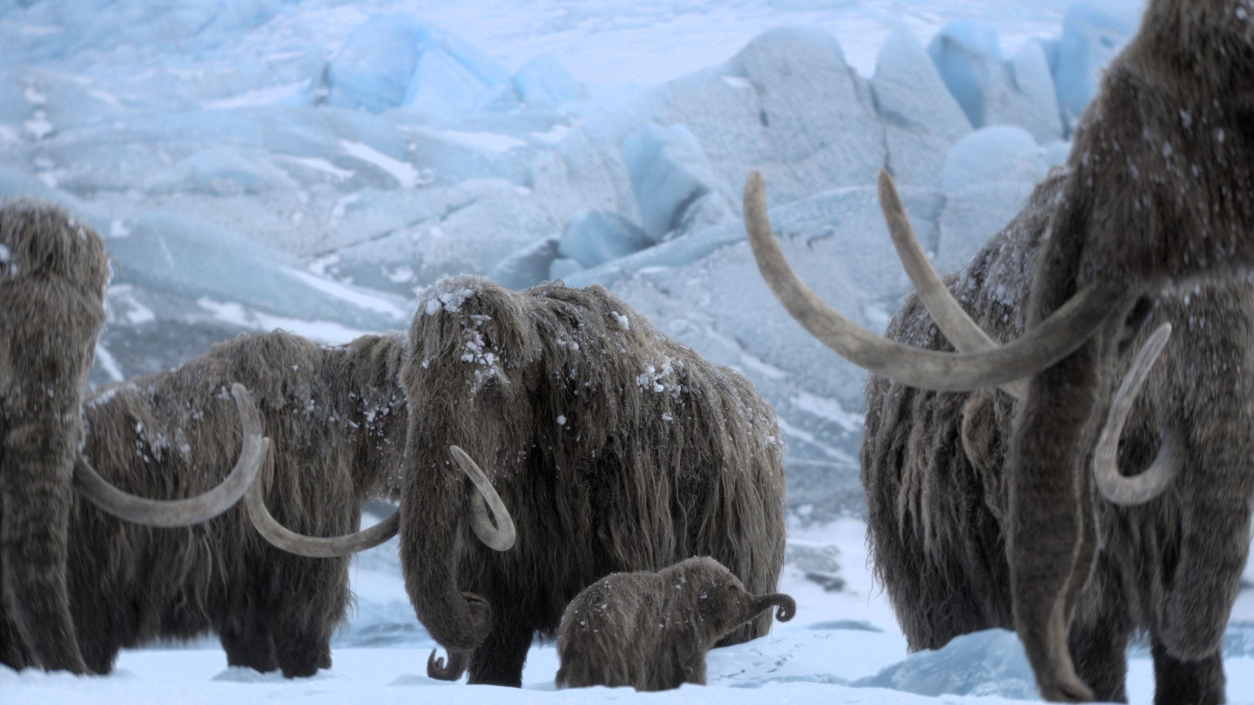 How to watch 'Prehistoric Planet: Ice Age' online – get 54% off with Apple TV's Black Friday mega-deal