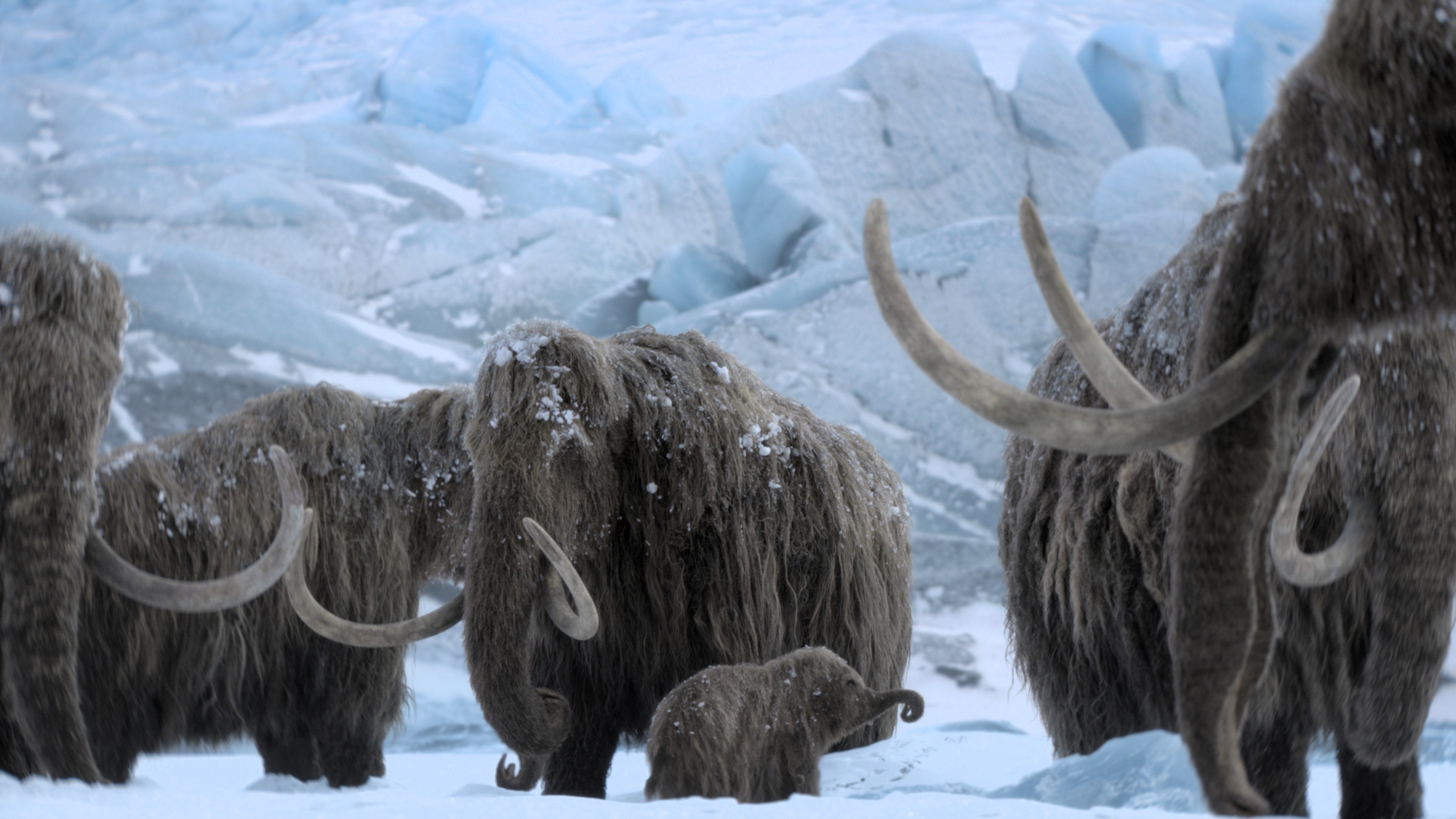 Prehistoric Planet Ice Age