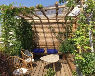 A deck shade natural pergola on a Paris roof terrace