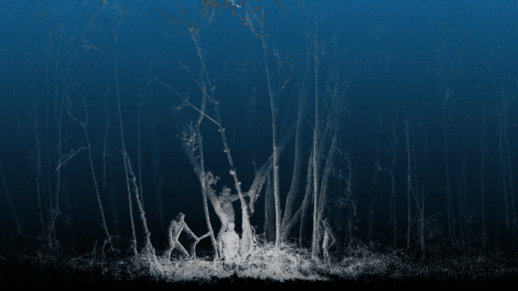 Here, a ground-based lidar captures researchers within a mangrove forest in Ten Thousand Islands in southwest Florida, displaying much finer detail on the ground than available from the air.