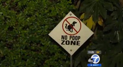 Mayor of San Marino resigns after throwing bag of dog poop on neighbor's lawn