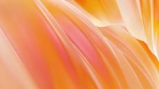 AI networking: Revolutionising IT operations