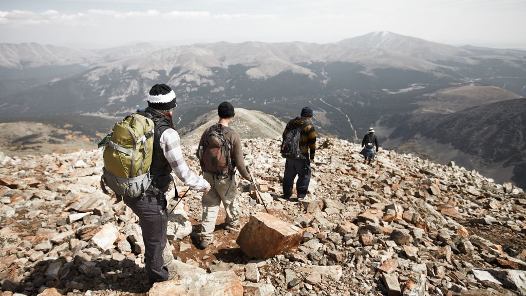 Treeline Ridge What is the treeline? And why is it important? | Advnture