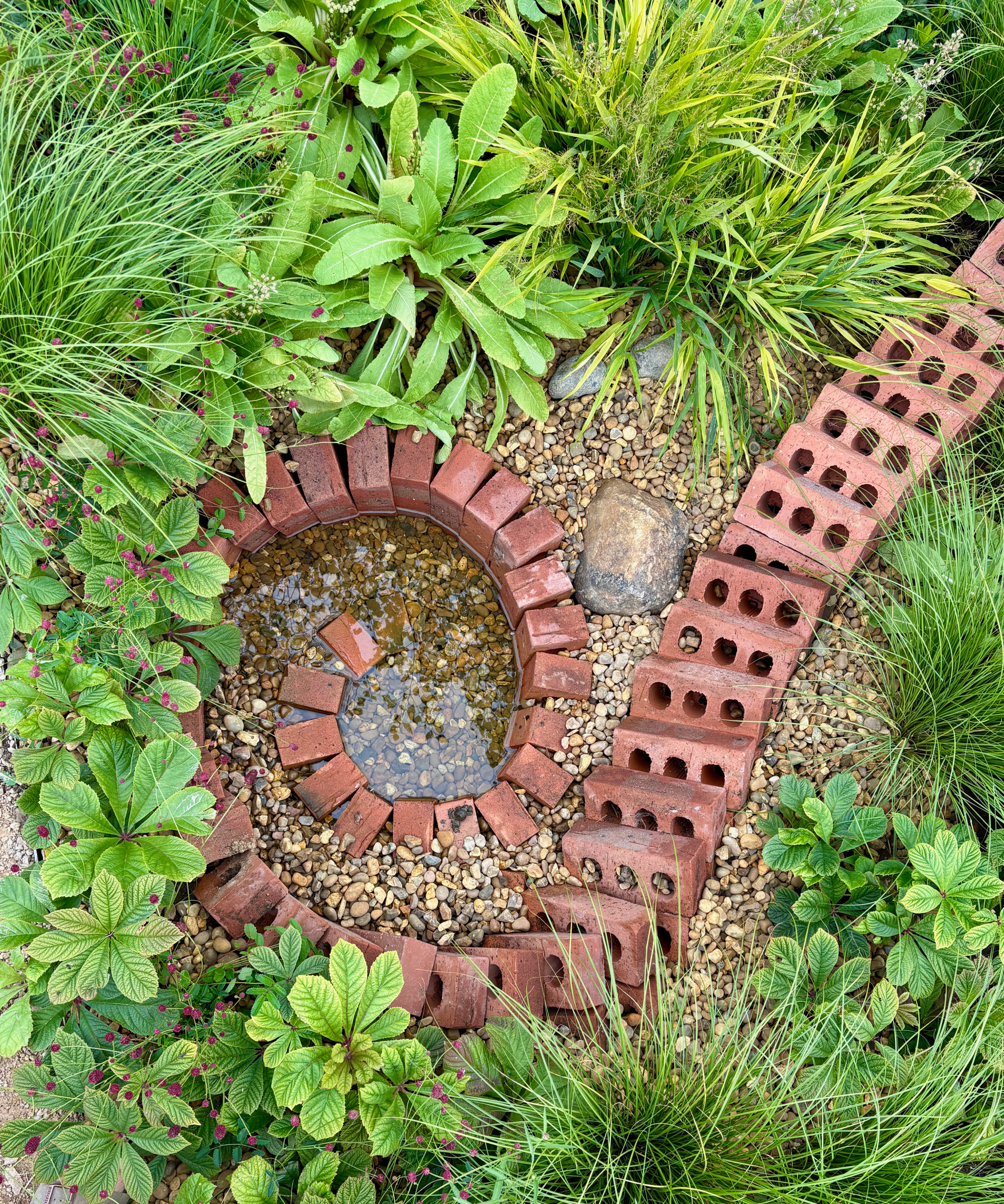 Small wildlife pond in a border
