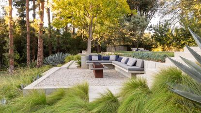 A garden filled with lots of plants and a firepit 