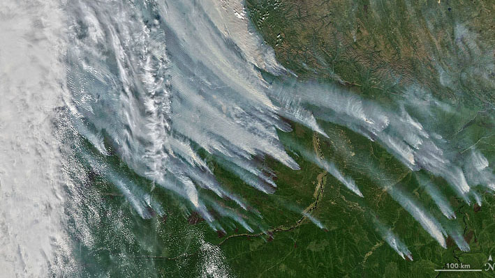 El satélite de observación de la Tierra de la NASA, Aqua, capturó esta imagen de incendios forestales en la República de Sakha, en el noreste de Rusia, el 8 de agosto de 2021.