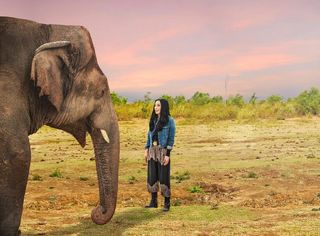 TV tonight Cher & the Loneliest Elephant