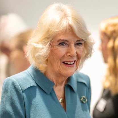 Queen Camilla smiling in a group of people, wearing a blue dress
