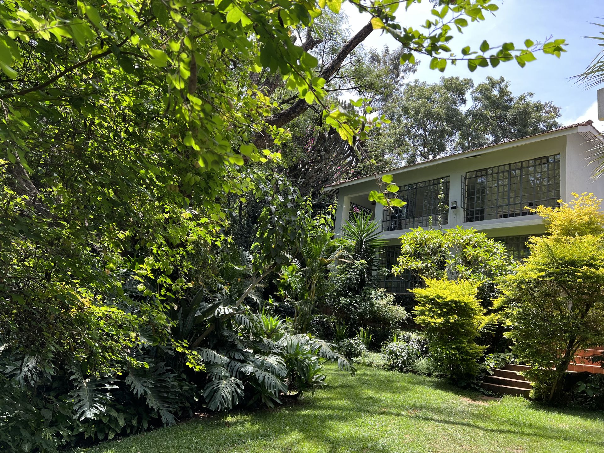 tropical garden ideas with oversized leaves and a green lawn