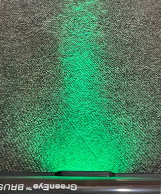 Using the Ultenic U16 Flex GreenEye Brush in Bristol Animal Rescue Centre, illuminating cat and dog fur on gray carpet