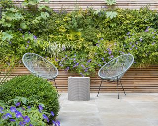 Contemporary garden designed by John Davies with london stone limestone patio