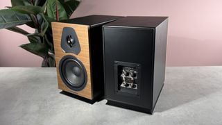 Sonus Faber Lumina II on a stone surface