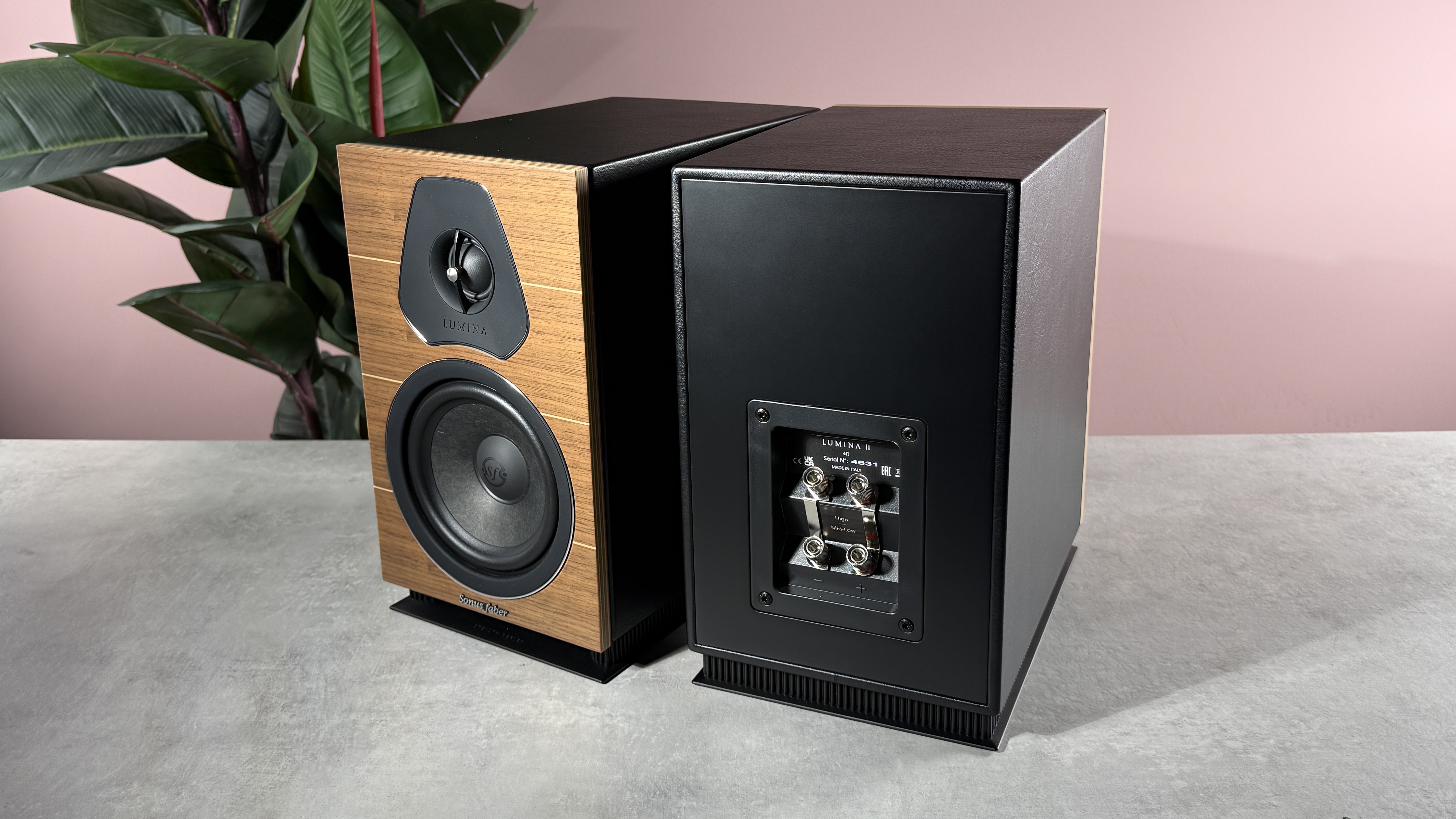 Sonus Faber Lumina II on the surface of the stone