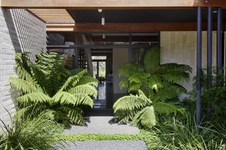 A front door surrounded by tropical shrubbery