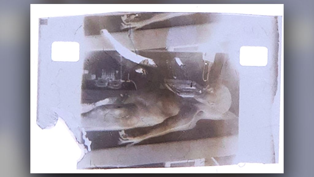 1947 'alien autopsy' film frame is up for auction as an NFT