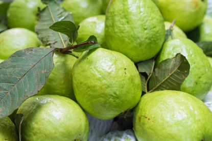 Guava Fruit