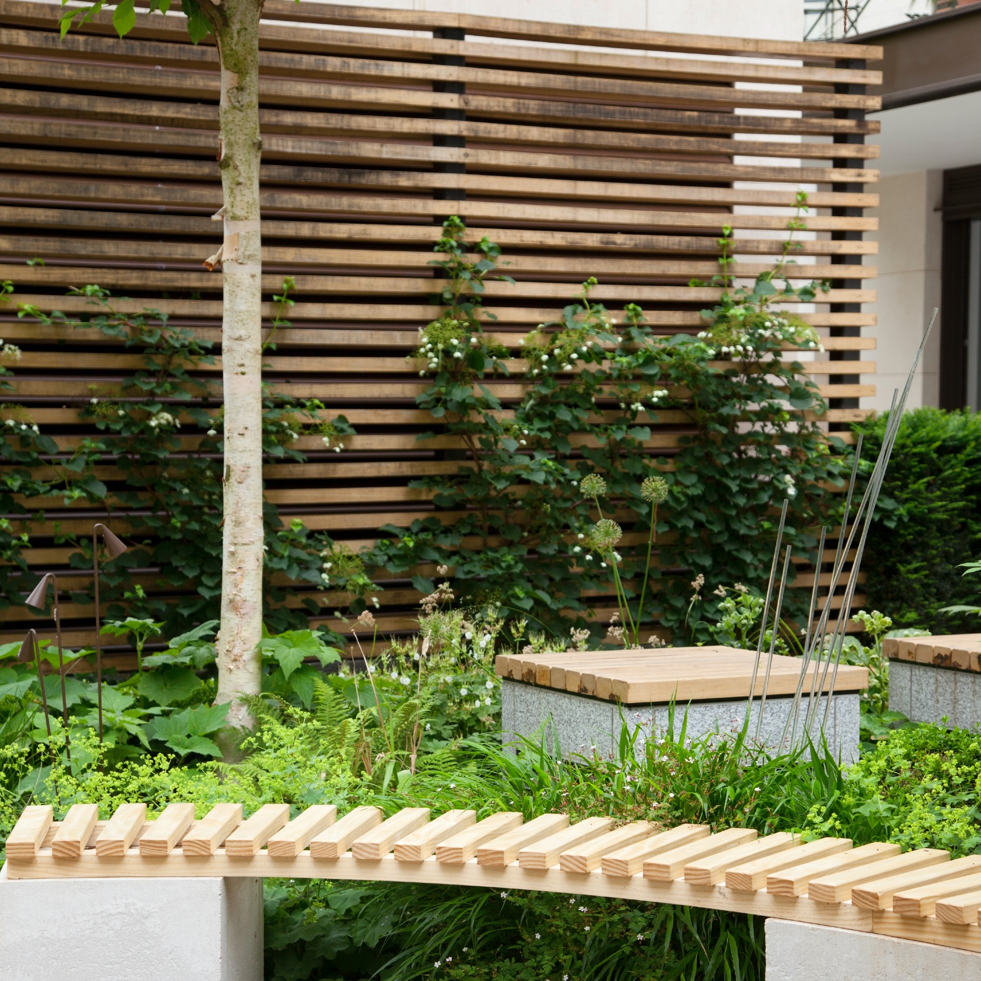 A garden with a bench and slatted garden screen