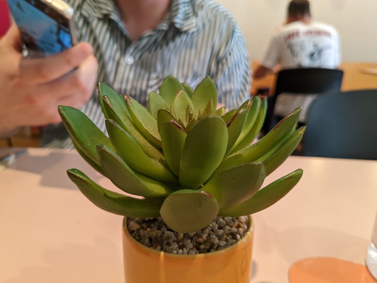 A photo taken on the Google Pixel 6a
