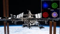 an image of an H-shaped space station in orbit above earth, with a superimposed image of four colorful blobs of cells overlaid