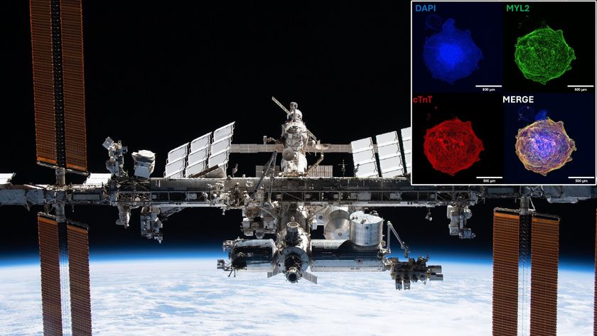 an image of an H-shaped space station in orbit above earth, with a superimposed image of four colorful blobs of cells overlaid