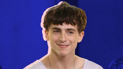 Timothée Chalamet's Hair Has Been Through a Lot in 2018