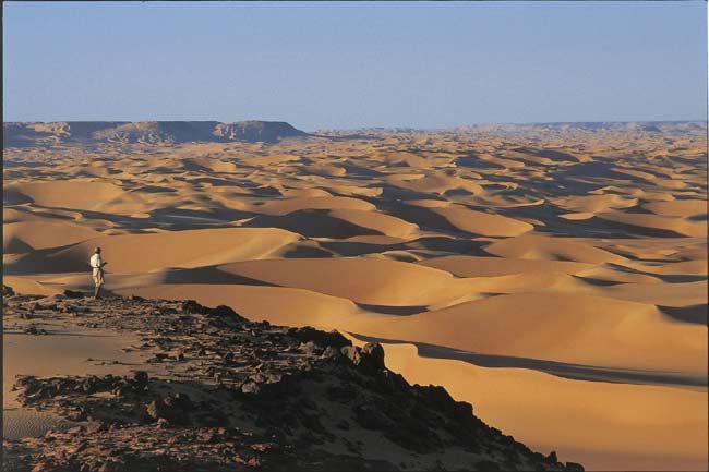 Desert Mystery Has Electrifying Answer