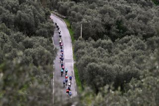 The peloton at Tirreno Adriatico riding in single file through a forest road