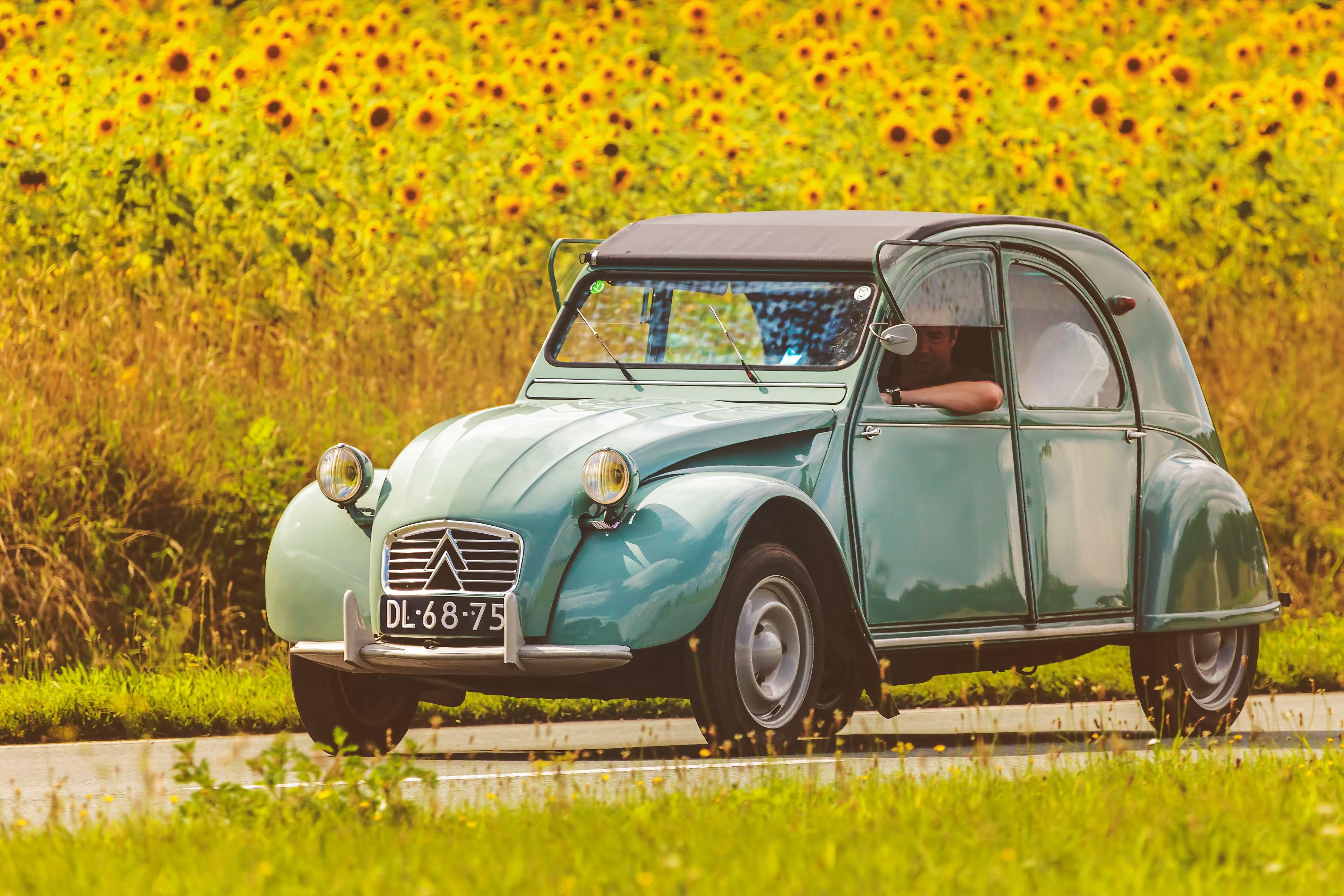 A Citroen 2CV drives along a road with sunflowers in the background