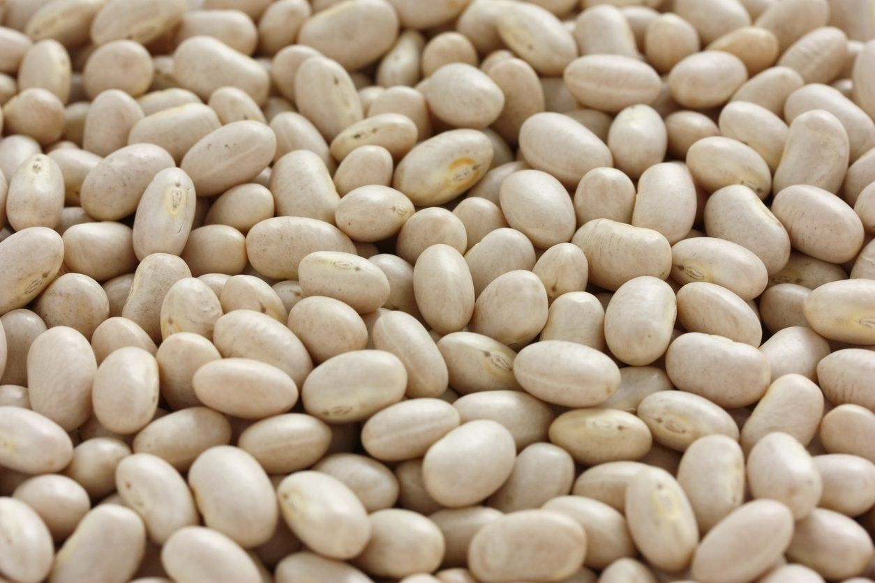 Dry Shell Beans - Tips On Growing Navy Beans In The Garden | Gardening ...