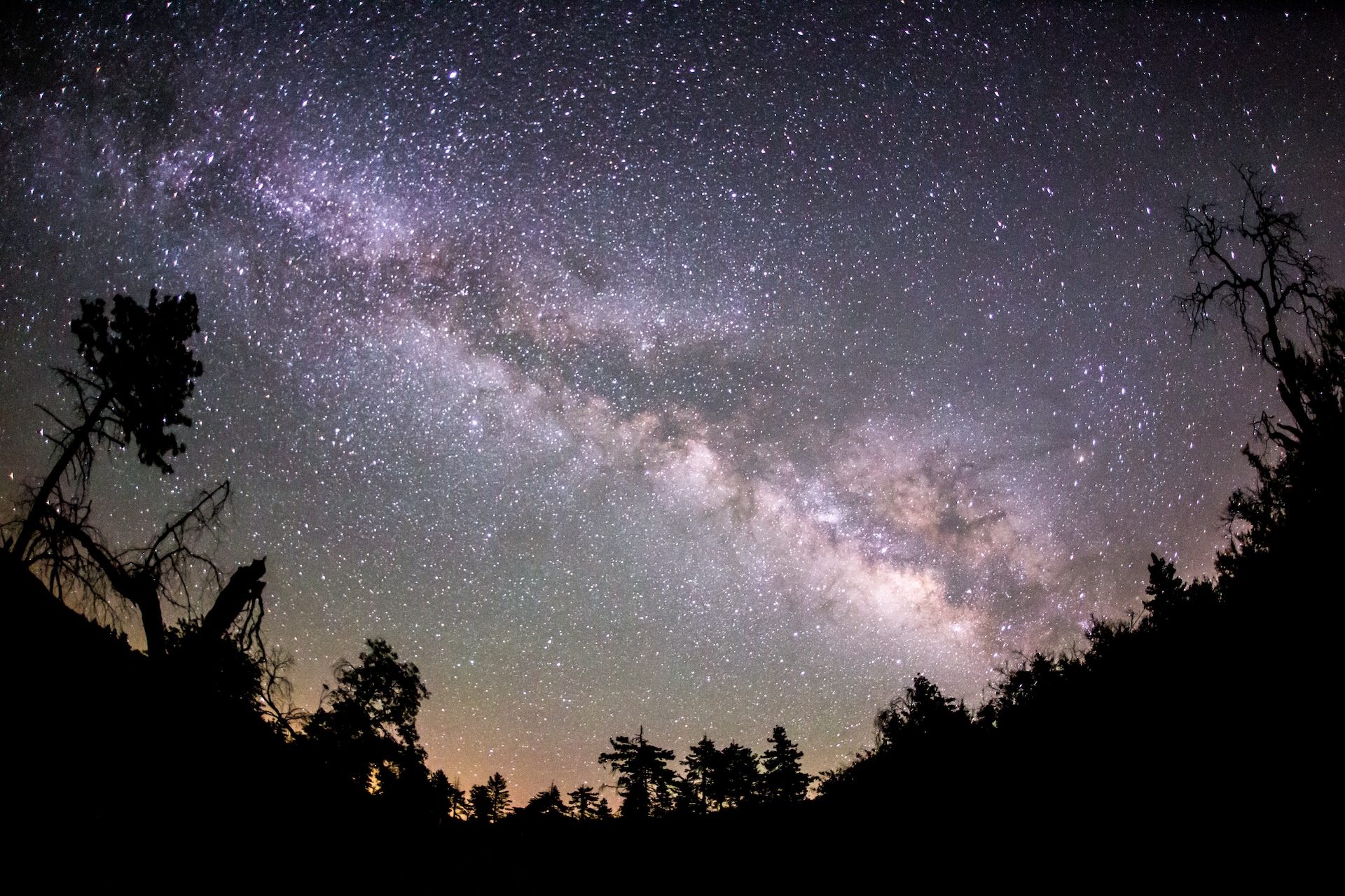 A Via Láctea e algumas árvores nas montanhas do condado de San Diego