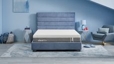 Tempur-Pedic mattress in blue bedroom