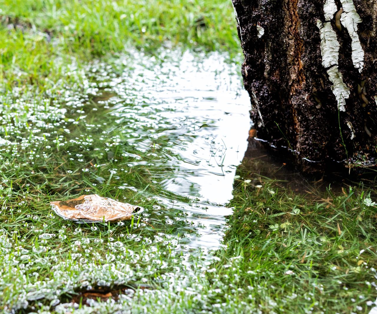 How to use a french drain in your backyard: expert advice