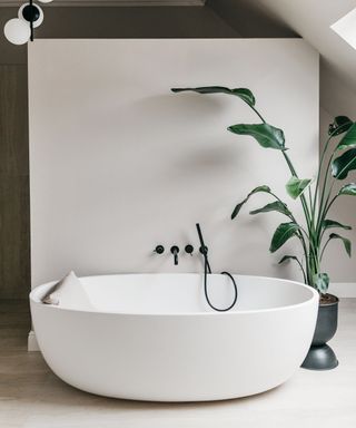 bathroom with white modern bath, large houseplant, black taps and white partition wall