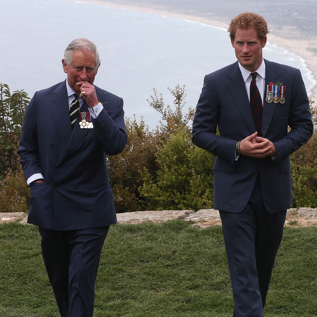 King Charles and Prince Harry stand on a scenic cliff in England while both wearing navy suits