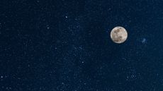 Horoscope 12th - 18th May 2025