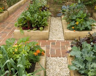 Brick and gravel pathways in vegetable garden with raised beds