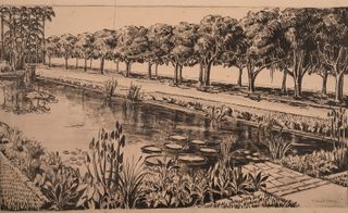 Sketch of a pond