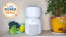 A Live Science Deals logo and a picture of our reviewer's Levoit Sprout air purifier