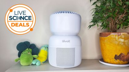 A Live Science Deals logo and a picture of our reviewer's Levoit Sprout air purifier