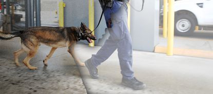 A border patrol guard.