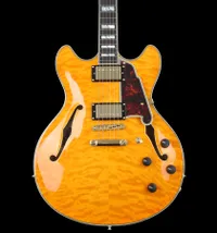 D'Angelico Excel DC XT Semi-hollowbody thumb D'Angelico Excel DC XT Semi-hollowbody thumb