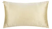Holistic Silk pillowcase