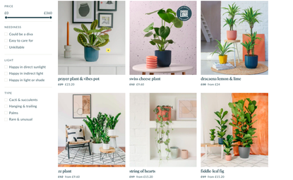 Best places to buy plants online in 2022 | Woman & Home