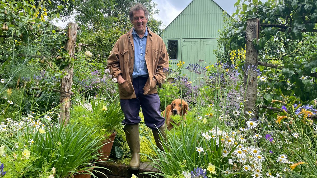 Monty Don with his dog Ned on the Mound at Longmeadow